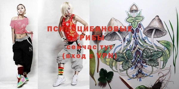 эйфоретик Кулебаки
