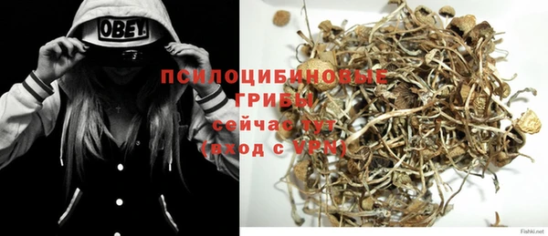 бутират Кукмор