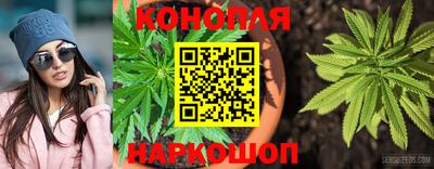 Альфа ПВП Гусиноозёрск