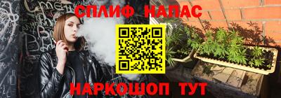 Альфа ПВП Гусиноозёрск