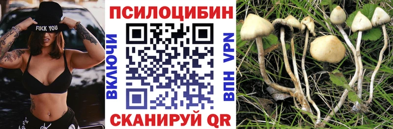 Галлюциногенные грибы MAGIC MUSHROOMS  наркошоп  Краснокамск 