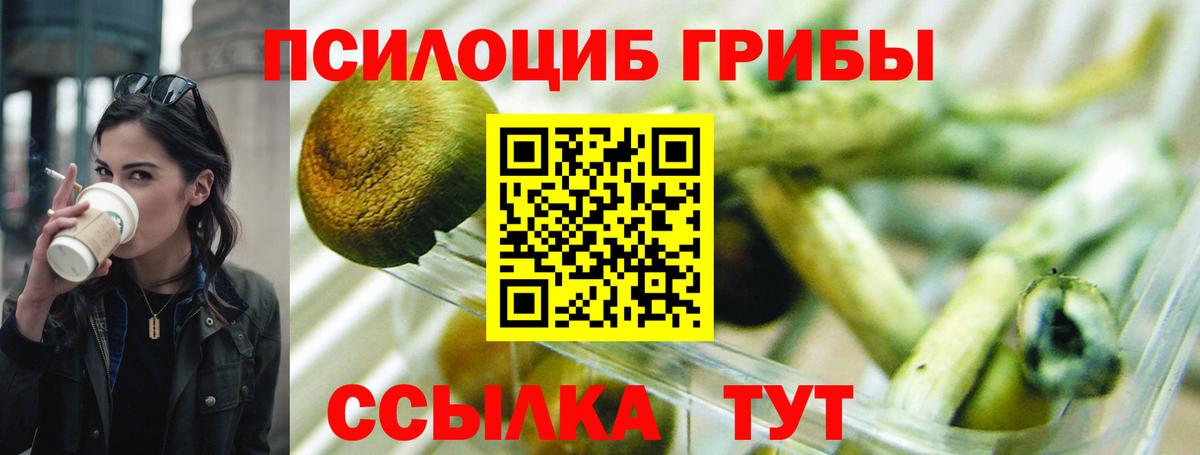 Псилоцибиновые грибы MAGIC MUSHROOMS  купить наркоту  Краснокамск  Вход с VPN 